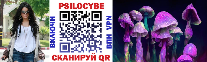 Псилоцибиновые грибы Psilocybine cubensis  Юрга 