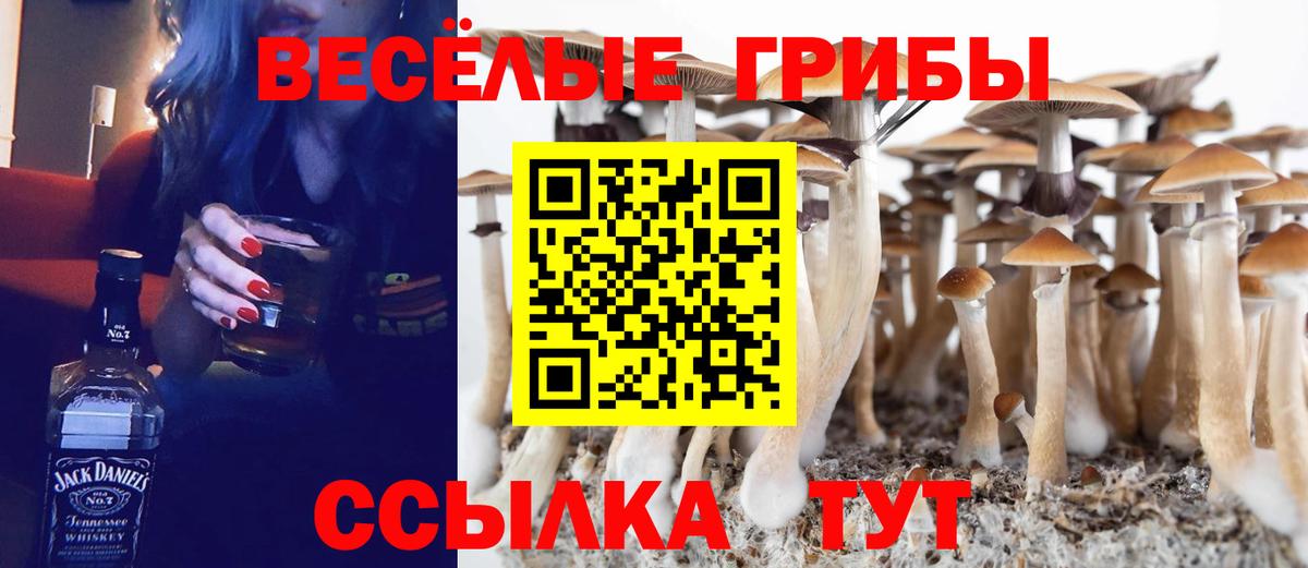 Юрга  Галлюциногенные грибы Magic Shrooms  Вход с VPN  Галлюциногенные грибы Magic Shrooms 